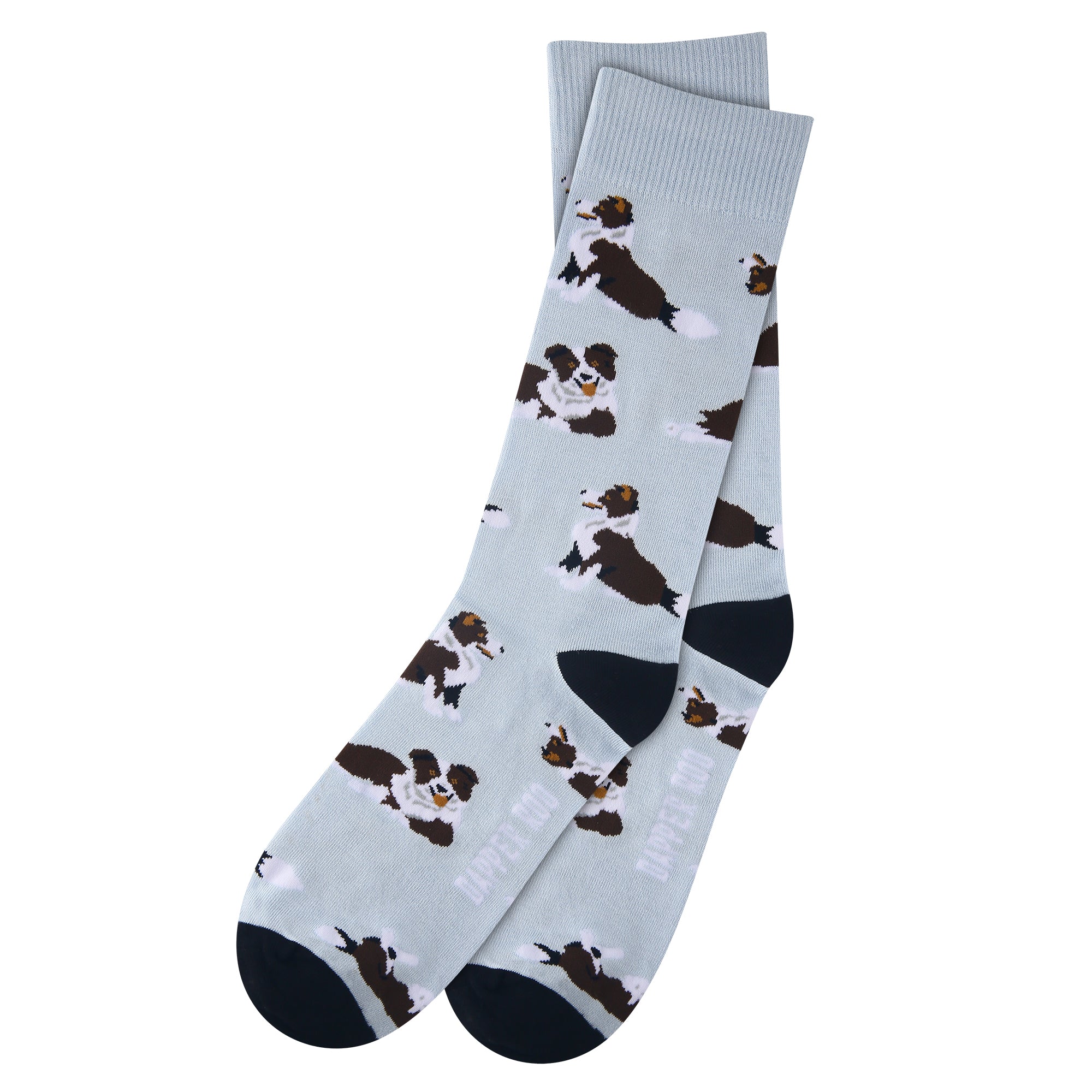 Border Collie Socks by Dapper Roo